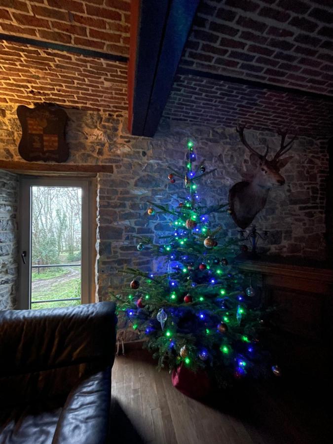 Les Confidences De Messire Sanglier, Stylished Guest Houses Beauraing Zewnętrze zdjęcie